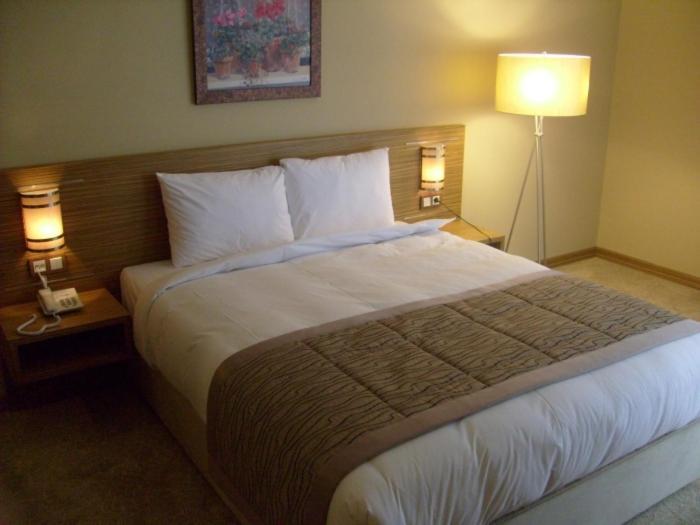 Hotel Almina Park Duzce Værelse billede